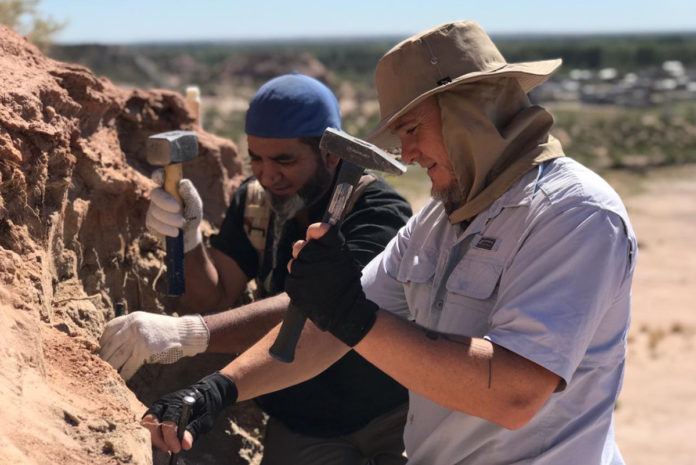 Un vecino de Neuquén encontró restos de dinosaurio