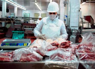 Repuntó la actividad económica en marzo, pero falta