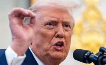 Con Trump el Bitcoin sonríe: subió 20%
