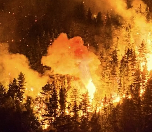 Más de 45 mil hectáreas fueron arrasadas en Parque Los Alerces