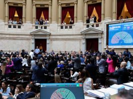 En una sesión caldeada, salieron dos leyes clave para Milei