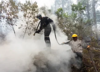 Incendio contenido en Los Alerces: se quemaron 16 mil hectáreas