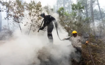 Incendio contenido en Los Alerces: se quemaron 16 mil hectáreas