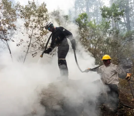 Incendio contenido en Los Alerces: se quemaron 16 mil hectáreas