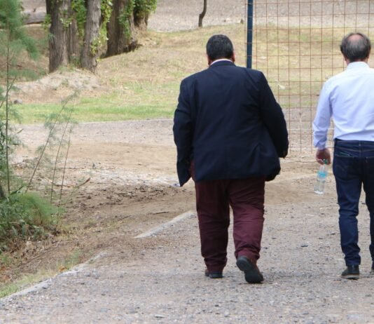 Acorralado por la suspensión, Luis Bertolini tiró la toalla