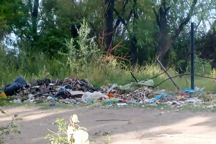 microbasural en Batilana