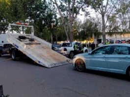 Le echaron los perros: se quedó sin droga y sin auto