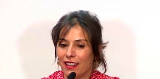 El Senado sesiona para tratar el pliego de Crexell