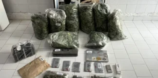 Cuando el negocio de los piñones no rinde