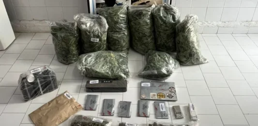 Cuando el negocio de los piñones no rinde