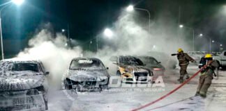 Le quemaron seis autos al ahijado de Patricia Fernández