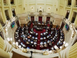 Las leyes de Discapacidad y Salud Mental al Senado