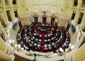 Las leyes de Discapacidad y Salud Mental al Senado