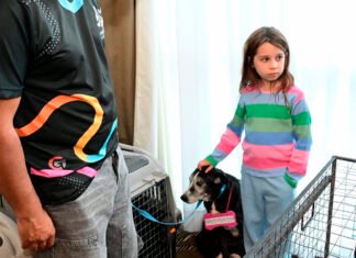 La feria que toca el corazón, lo hizo de nuevo