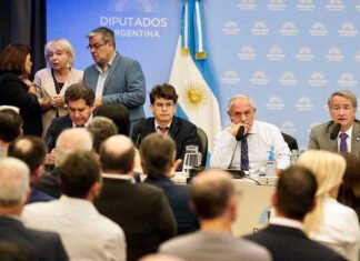 Buscan un dictamen exprés por la Ley de Glaciares