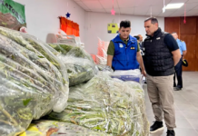 Hay decisiones que salvan vidas