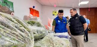 Hay decisiones que salvan vidas