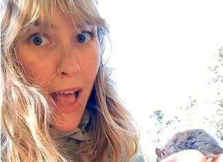 Una influencer tocó un ratón colilargo y subió el video