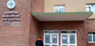 Apareció Camila: se presentó en una comisaria de Roca