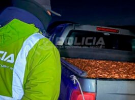 Llevaba 3 toneladas de piñones como Pancho por su casa