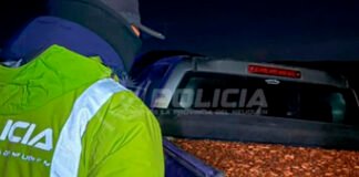 Llevaba 3 toneladas de piñones como Pancho por su casa