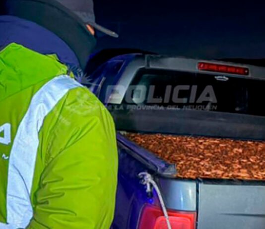 Llevaba 3 toneladas de piñones como Pancho por su casa