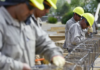 “La economía no puede crecer sin infraestructura”