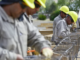 “La economía no puede crecer sin infraestructura”