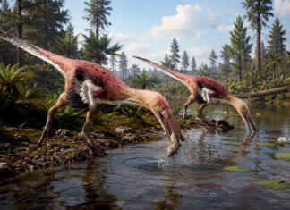 Nueva especie de raptor es santacruceño