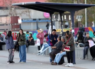 Uno de cada tres argentinos con deuda no puede pagar