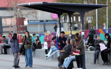 Uno de cada tres argentinos con deuda no puede pagar