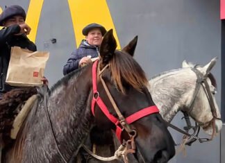 McGaucho viral: fueron a caballo al AutoMac