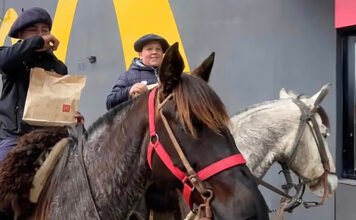 McGaucho viral: fueron a caballo al AutoMac