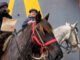 McGaucho viral: fueron a caballo al AutoMac