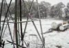 Las Altas Cumbres de Córdoba quedaron blancas