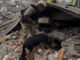 Nuevo ataque ruso dejó 11 muertos, entre ellos tres niños