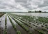 El Niño seguirá “portándose mal” hasta el verano