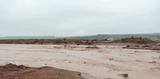 Crece el arroyo Carranza y buscan evitar nuevos cortes en la Ruta 5